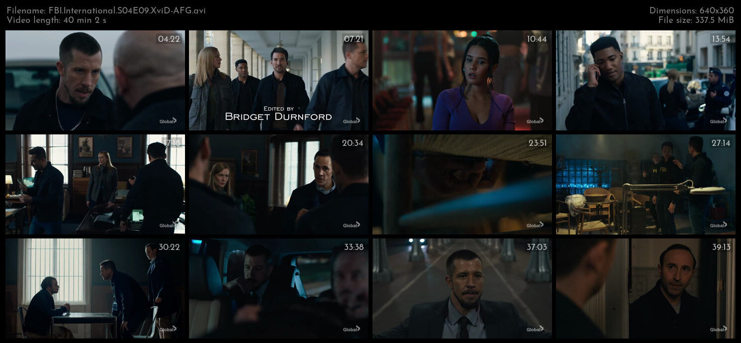 FBI International S04E09 XviD AFG TGx