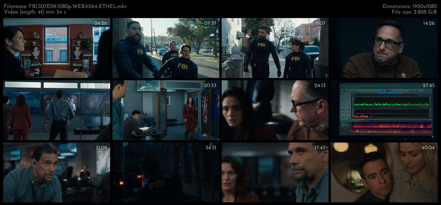 FBI S07E09 1080p WEB h264 ETHEL TGx