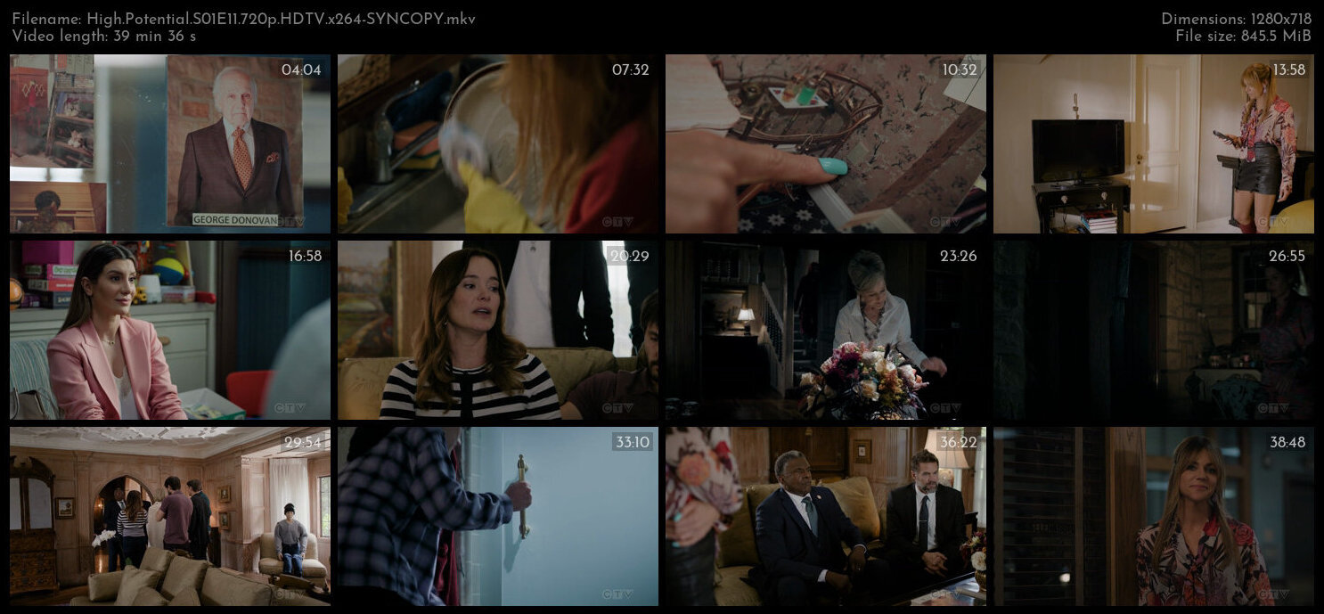 High Potential S01E11 720p HDTV x264 SYNCOPY TGx