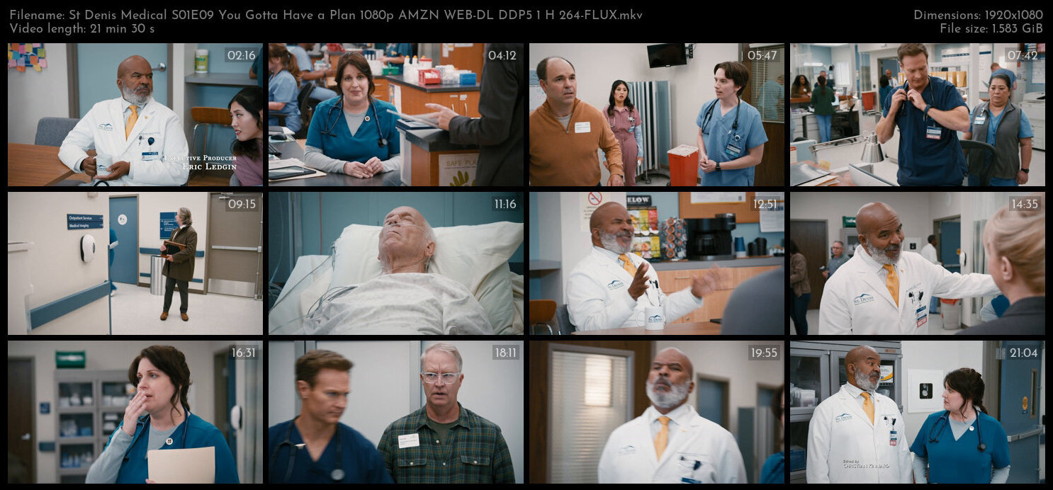 St Denis Medical S01E09 You Gotta Have a Plan 1080p AMZN WEB DL DDP5 1 H 264 FLUX TGx