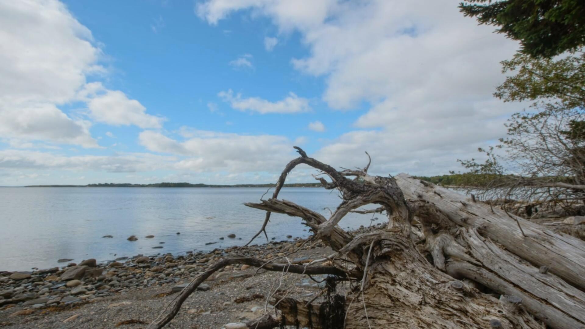 The Curse of Oak Island S12E09 1080p AMZN WEB DL DDP2 0 H 264 FLUX TGx