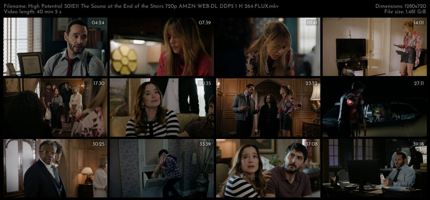 High Potential S01E11 The Sauna at the End of the Stairs 720p AMZN WEB DL DDP5 1 H 264 FLUX TGx