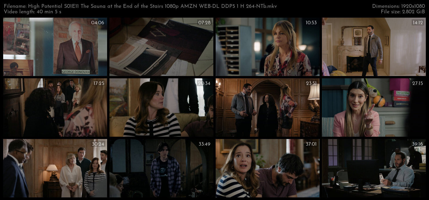 High Potential S01E11 The Sauna at the End of the Stairs 1080p AMZN WEB DL DDP5 1 H 264 NTb TGx