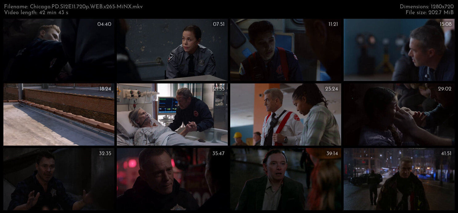 Chicago PD S12E11 720p WEB x265 MiNX TGx