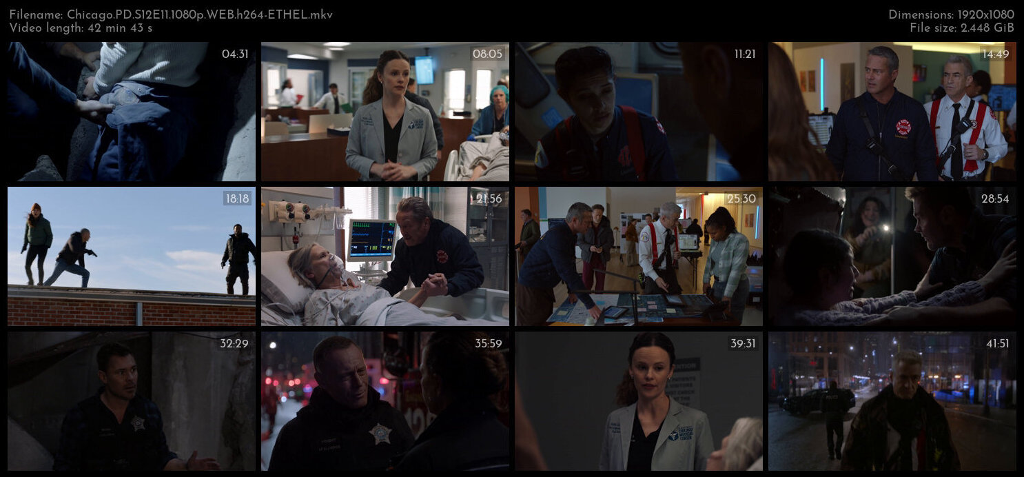 Chicago PD S12E11 1080p WEB h264 ETHEL TGx