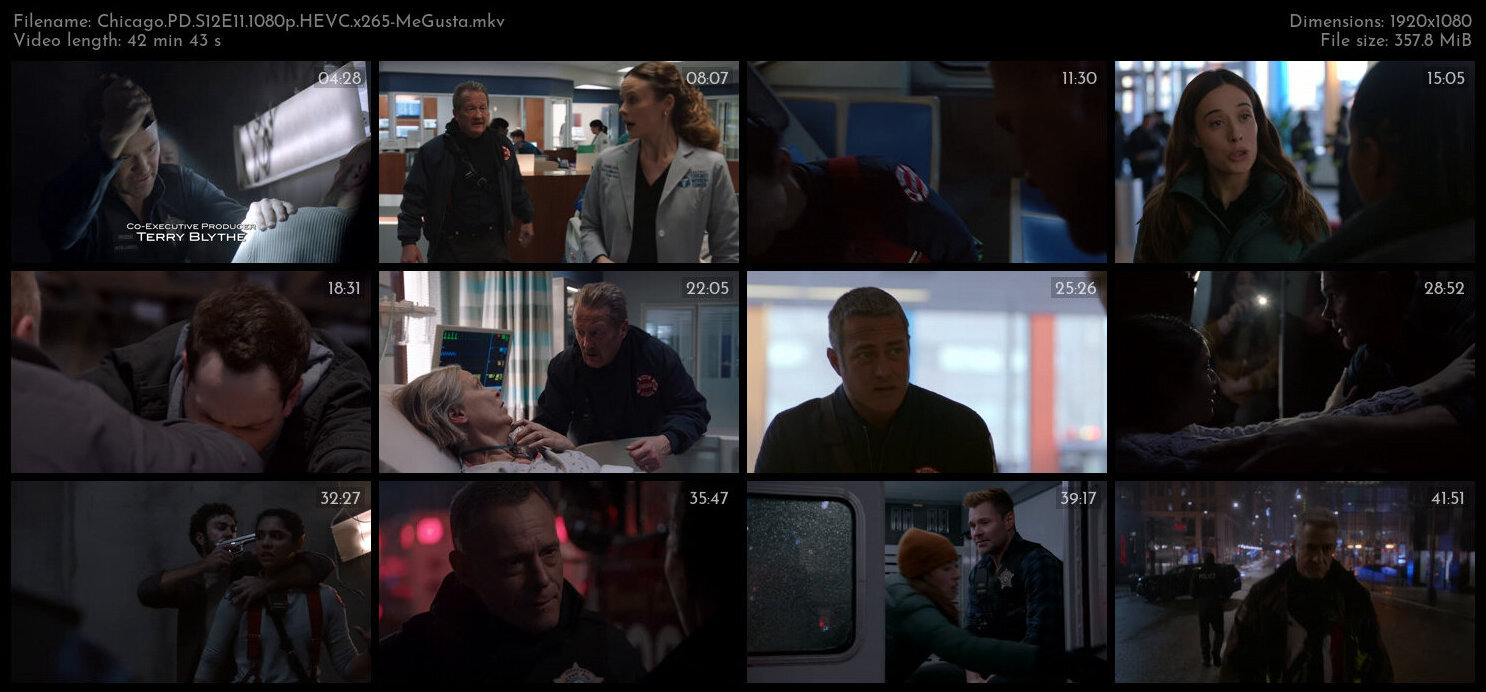 Chicago PD S12E11 1080p HEVC x265 MeGusta TGx