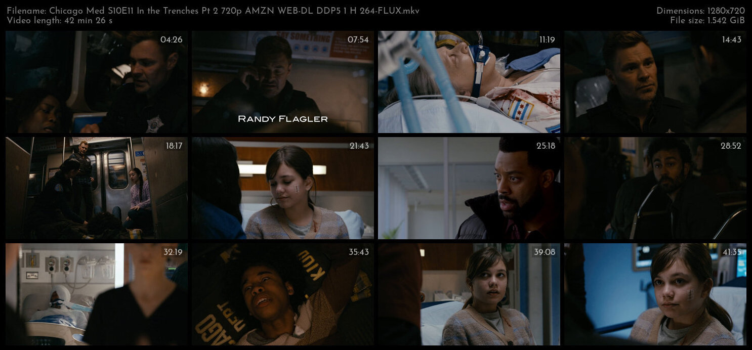 Chicago Med S10E11 In the Trenches Pt 2 720p AMZN WEB DL DDP5 1 H 264 FLUX TGx