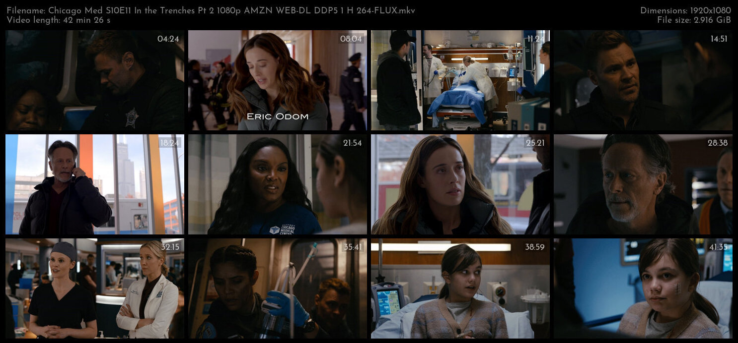 Chicago Med S10E11 In the Trenches Pt 2 1080p AMZN WEB DL DDP5 1 H 264 FLUX TGx