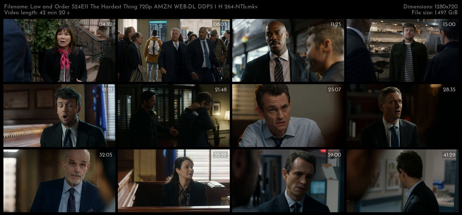 Law and Order S24E11 The Hardest Thing 720p AMZN WEB DL DDP5 1 H 264 NTb TGx