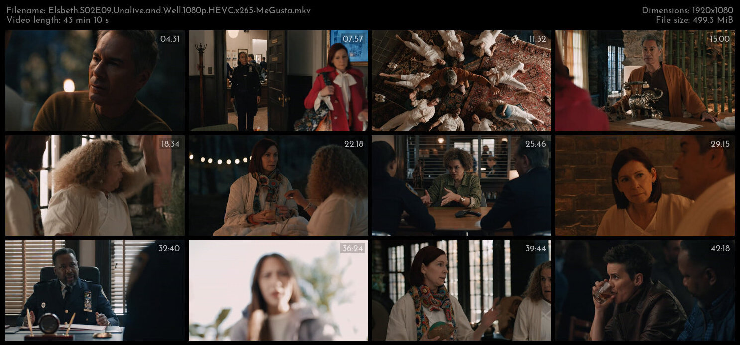 Elsbeth S02E09 Unalive and Well 1080p HEVC x265 MeGusta TGx