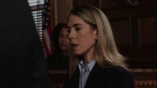 Law and Order SVU S26E11 Deductible XviD AFG TGx