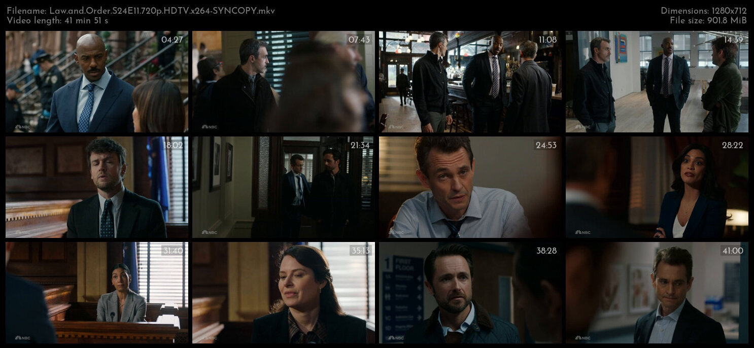 Law and Order S24E11 720p HDTV x264 SYNCOPY TGx