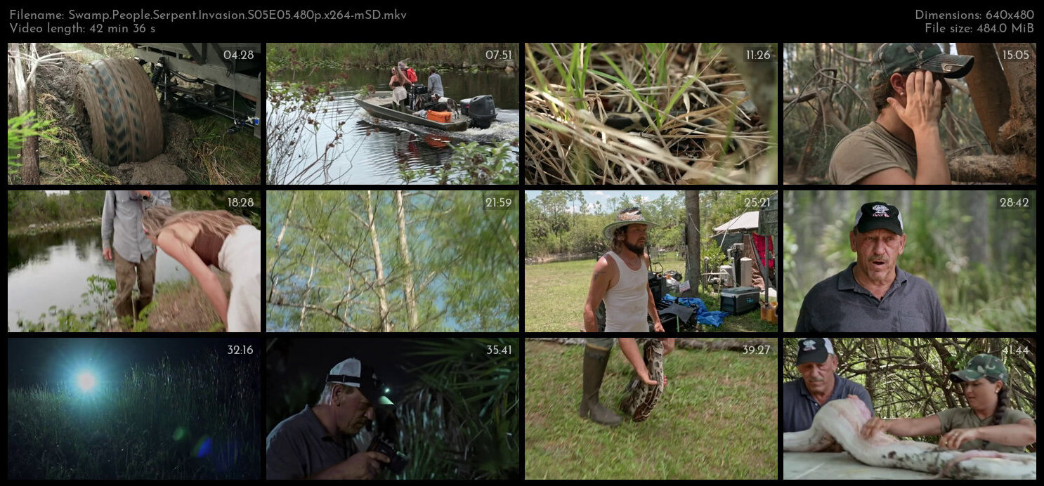 Swamp People Serpent Invasion S05E05 480p x264 mSD TGx