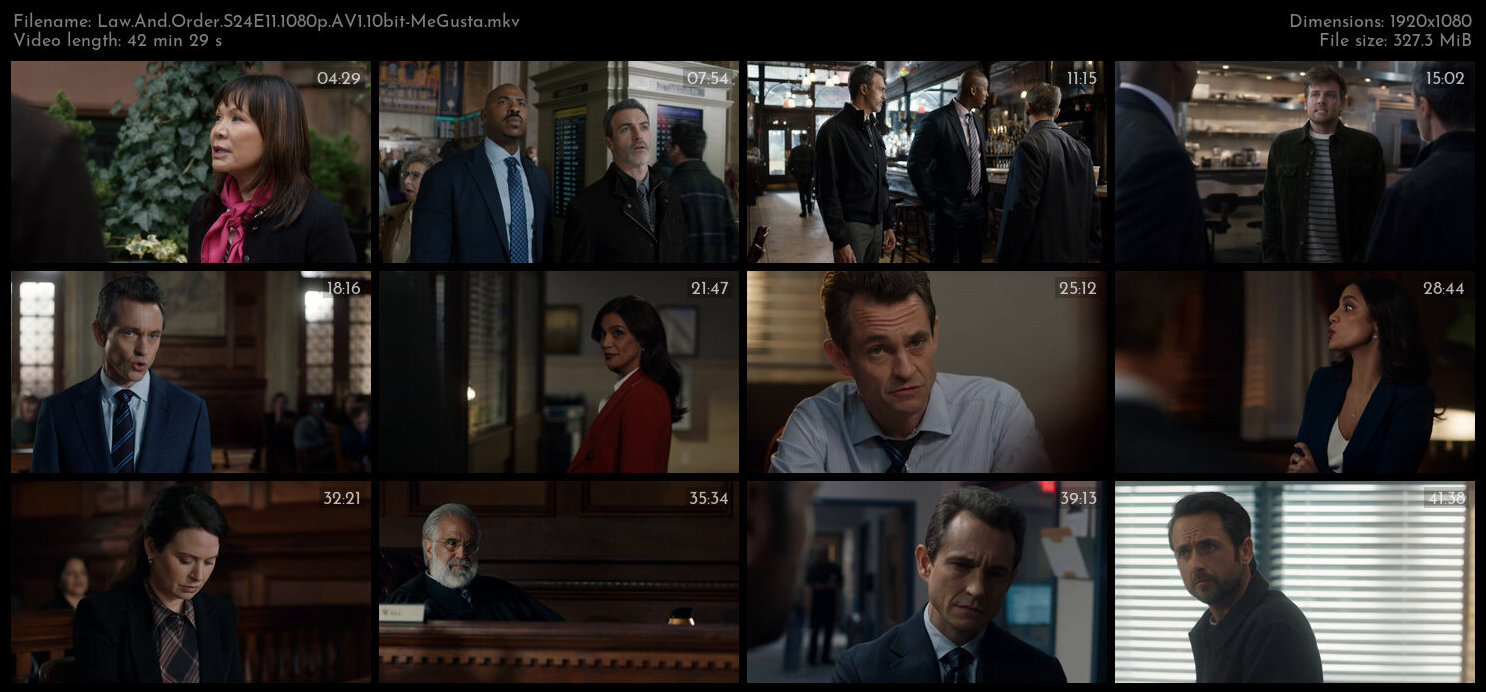 Law And Order S24E11 1080p AV1 10bit MeGusta TGx