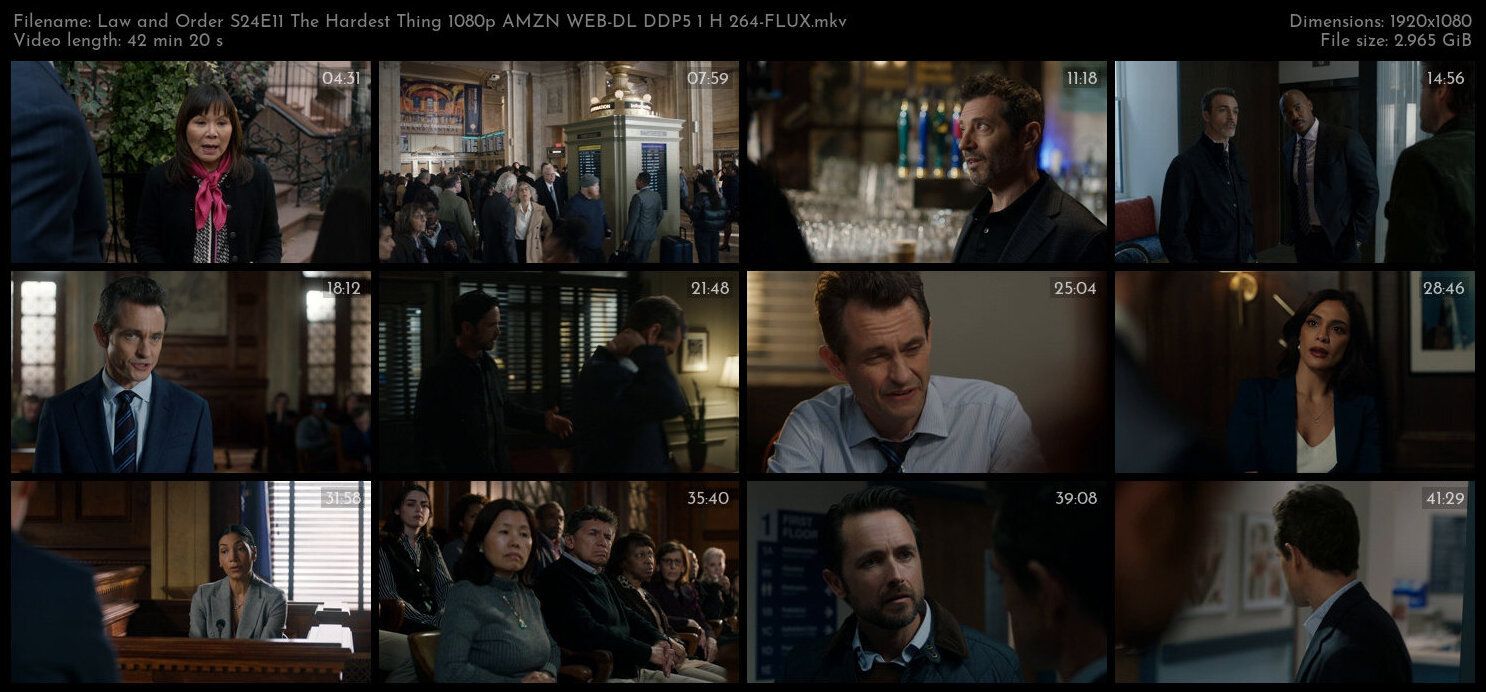 Law and Order S24E11 The Hardest Thing 1080p AMZN WEB DL DDP5 1 H 264 FLUX TGx