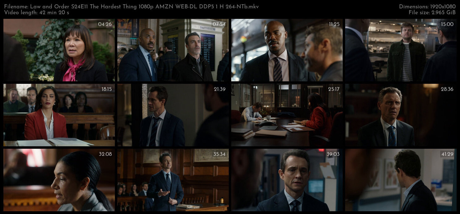 Law and Order S24E11 The Hardest Thing 1080p AMZN WEB DL DDP5 1 H 264 NTb TGx