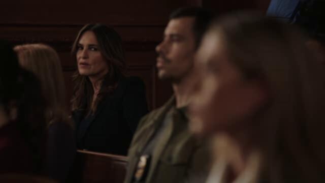 Law and Order SVU S26E11 Deductible XviD AFG TGx