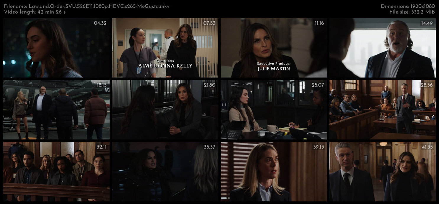 Law and Order SVU S26E11 1080p HEVC x265 MeGusta TGx