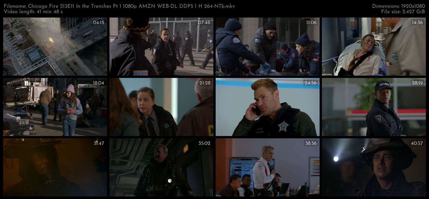 Chicago Fire S13E11 In the Trenches Pt 1 1080p AMZN WEB DL DDP5 1 H 264 NTb TGx