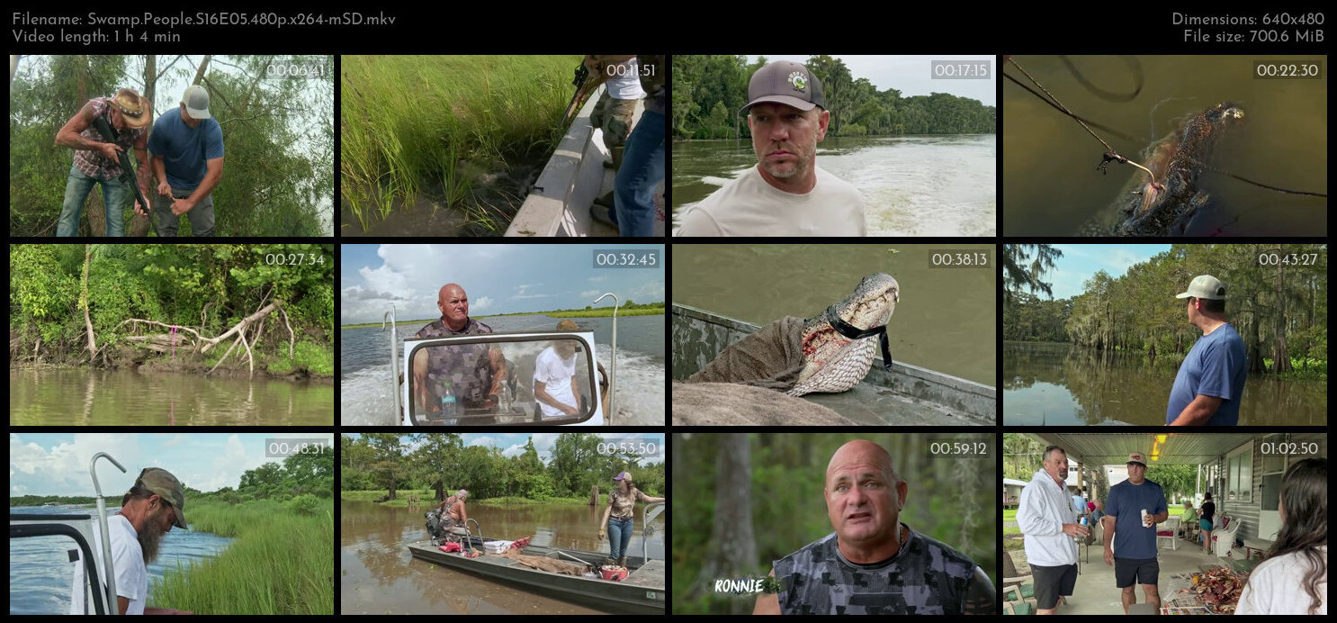 Swamp People S16E05 480p x264 mSD TGx