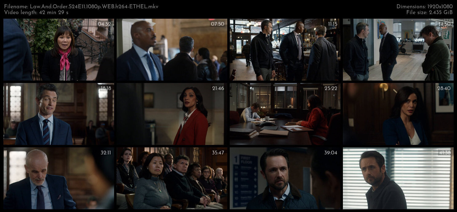 Law And Order S24E11 1080p WEB h264 ETHEL TGx