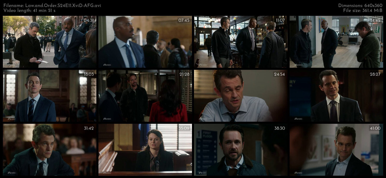 Law and Order S24E11 XviD AFG TGx