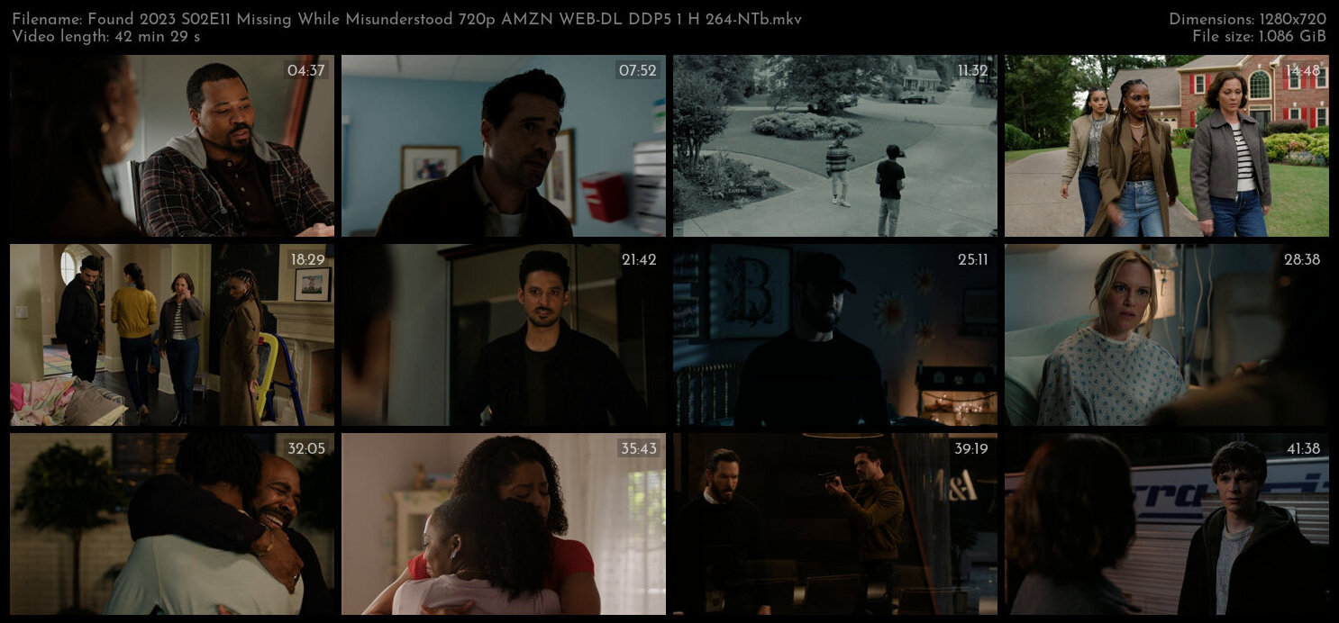 Found 2023 S02E11 Missing While Misunderstood 720p AMZN WEB DL DDP5 1 H 264 NTb TGx