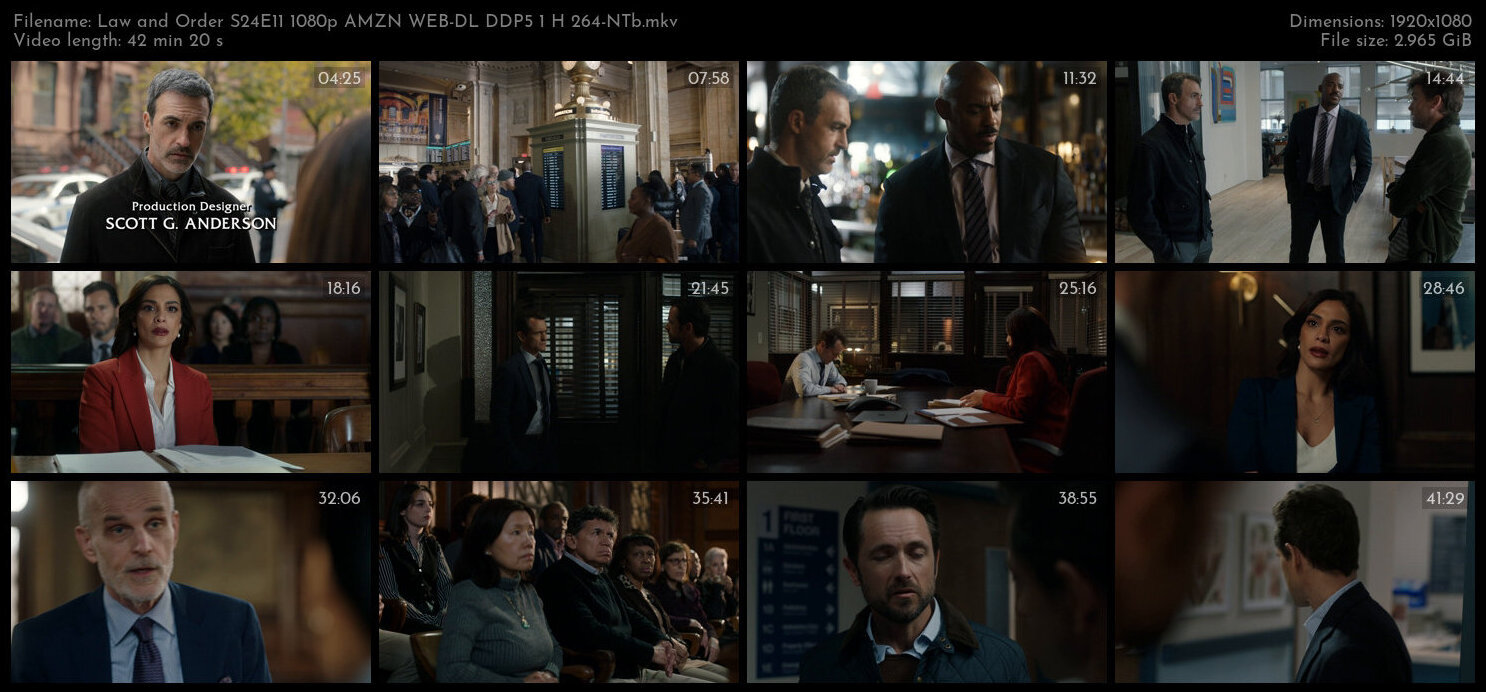 Law and Order S24E11 1080p AMZN WEB DL DDP5 1 H 264 NTb TGx