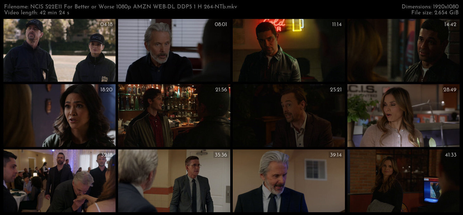 NCIS S22E11 For Better or Worse 1080p AMZN WEB DL DDP5 1 H 264 NTb TGx