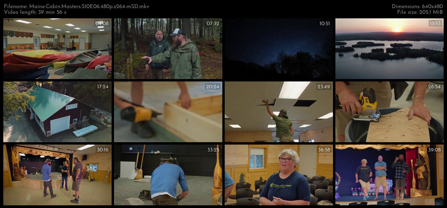 Maine Cabin Masters S10E06 480p x264 mSD TGx