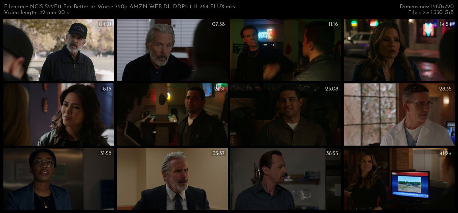 NCIS S22E11 For Better or Worse 720p AMZN WEB DL DDP5 1 H 264 FLUX TGx