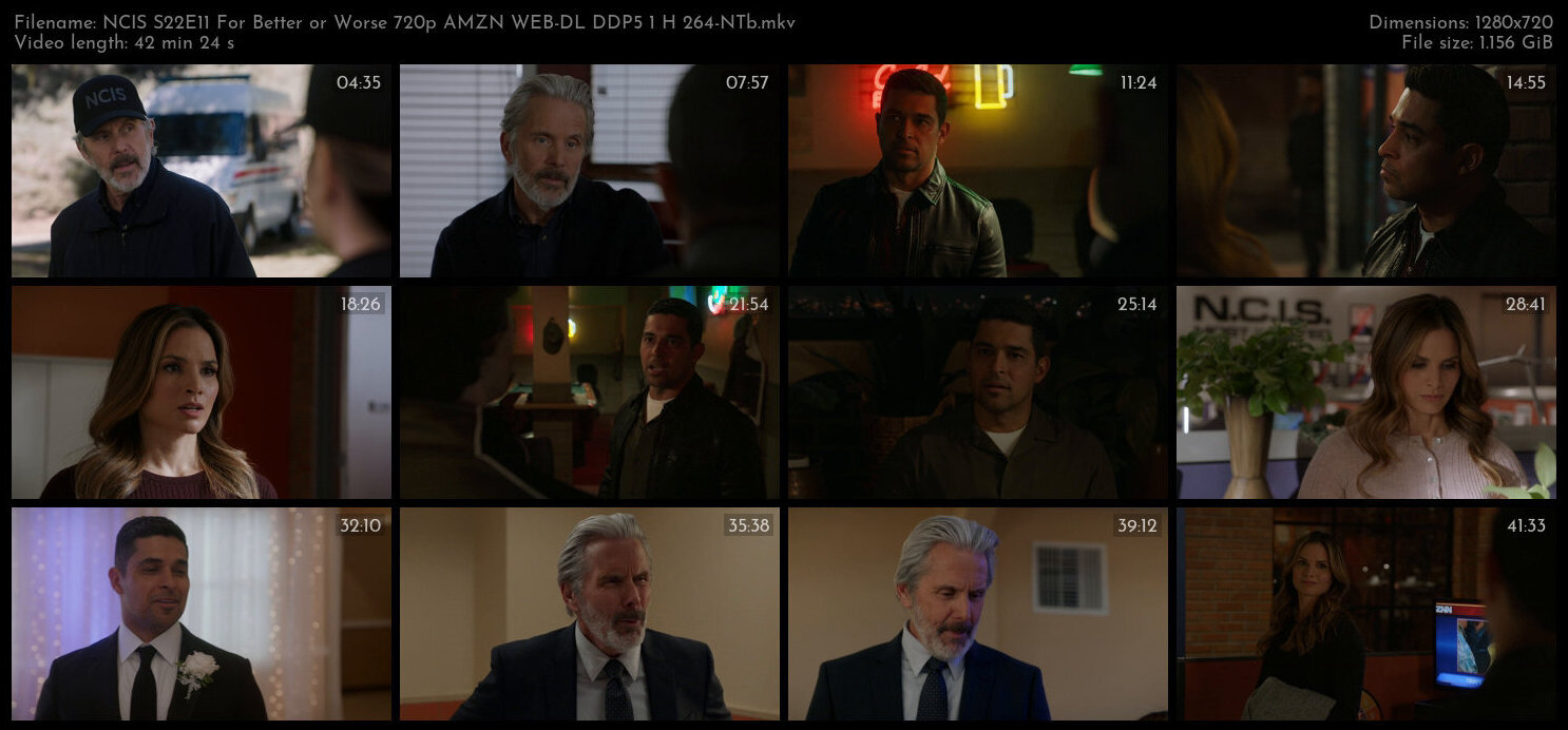 NCIS S22E11 For Better or Worse 720p AMZN WEB DL DDP5 1 H 264 NTb TGx