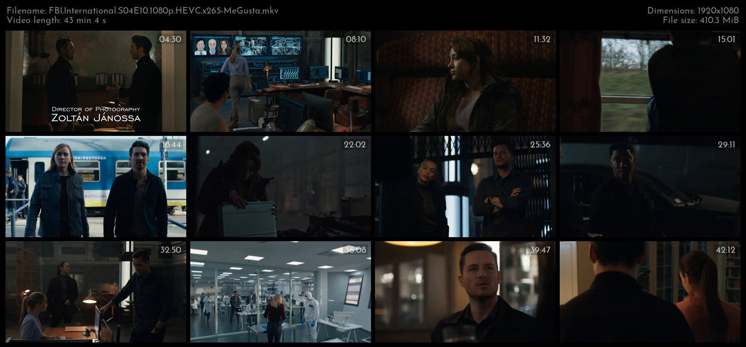 FBI International S04E10 1080p HEVC x265 MeGusta TGx