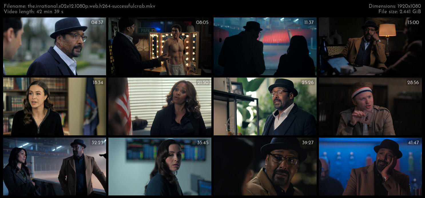 The Irrational S02E12 1080p WEB H264 SuccessfulCrab TGx