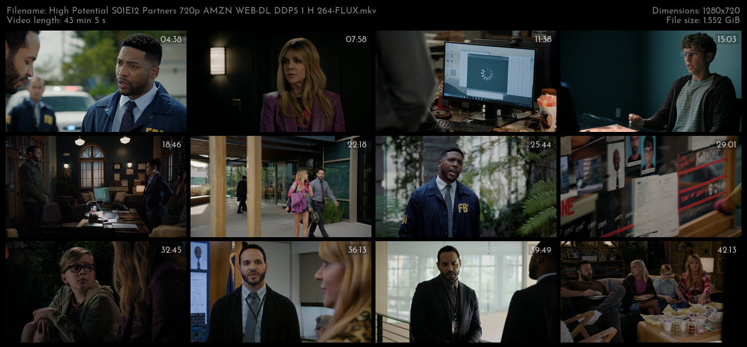 High Potential S01E12 Partners 720p AMZN WEB DL DDP5 1 H 264 FLUX TGx