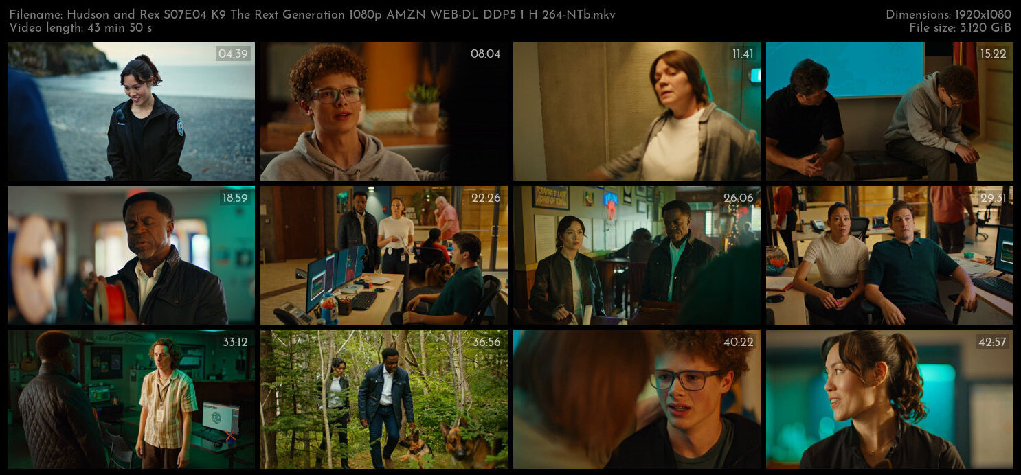 Hudson and Rex S07E04 K9 The Rext Generation 1080p AMZN WEB DL DDP5 1 H 264 NTb TGx