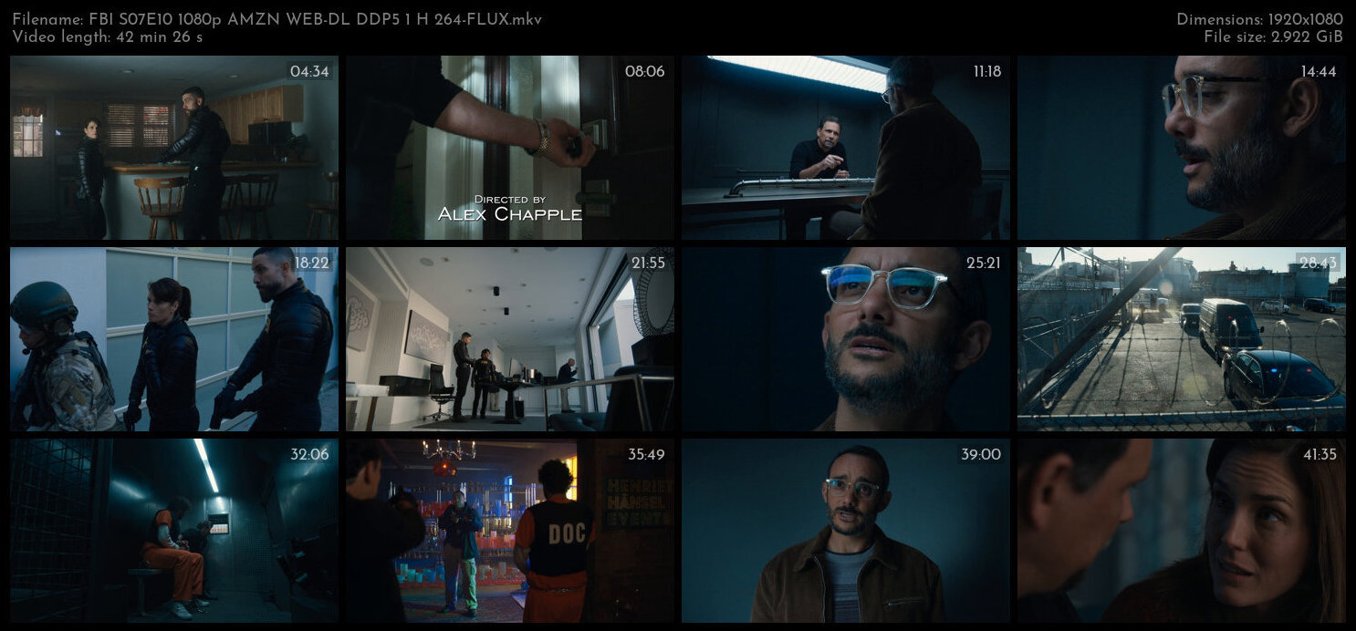 FBI S07E10 1080p AMZN WEB DL DDP5 1 H 264 FLUX TGx