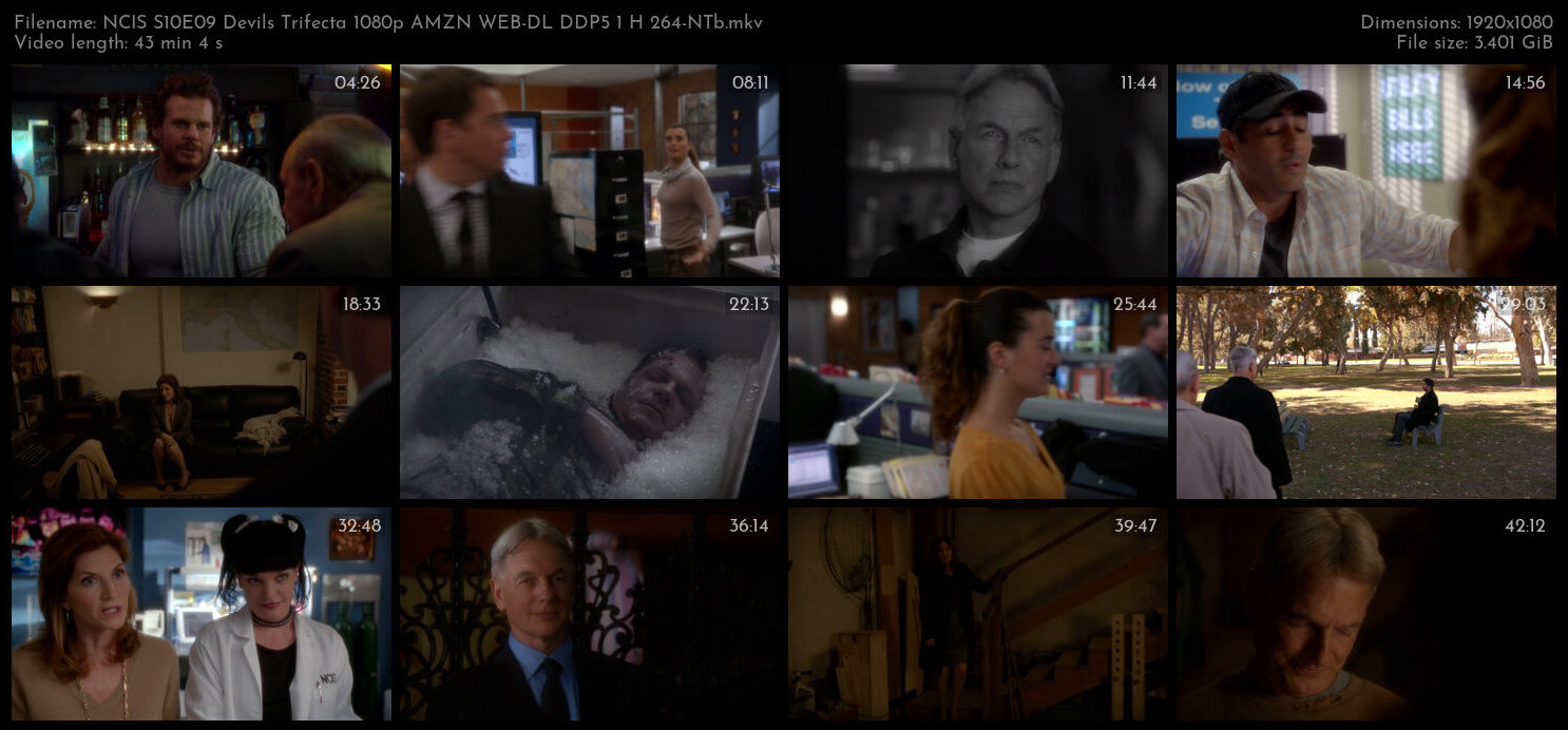 NCIS S10E09 Devils Trifecta 1080p AMZN WEB DL DDP5 1 H 264 NTb TGx