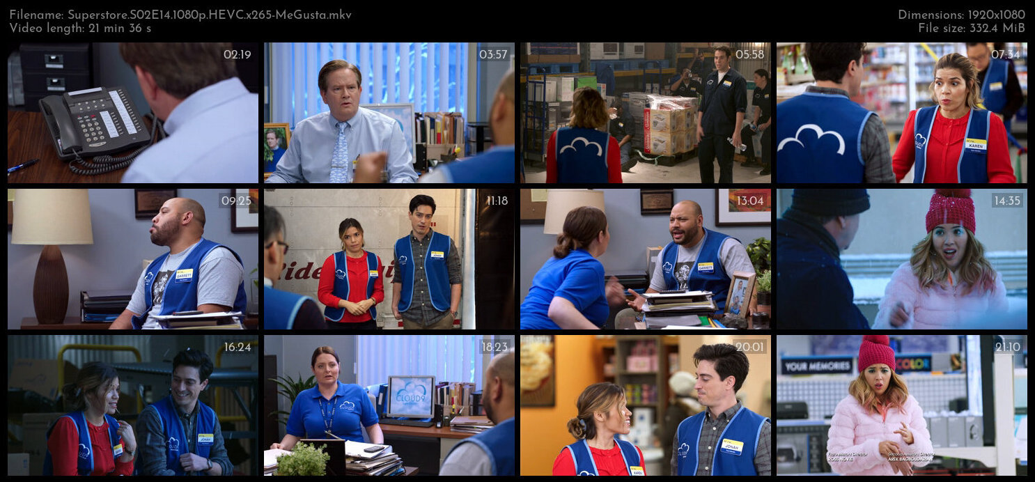 Superstore S02E14 1080p HEVC x265 MeGusta TGx