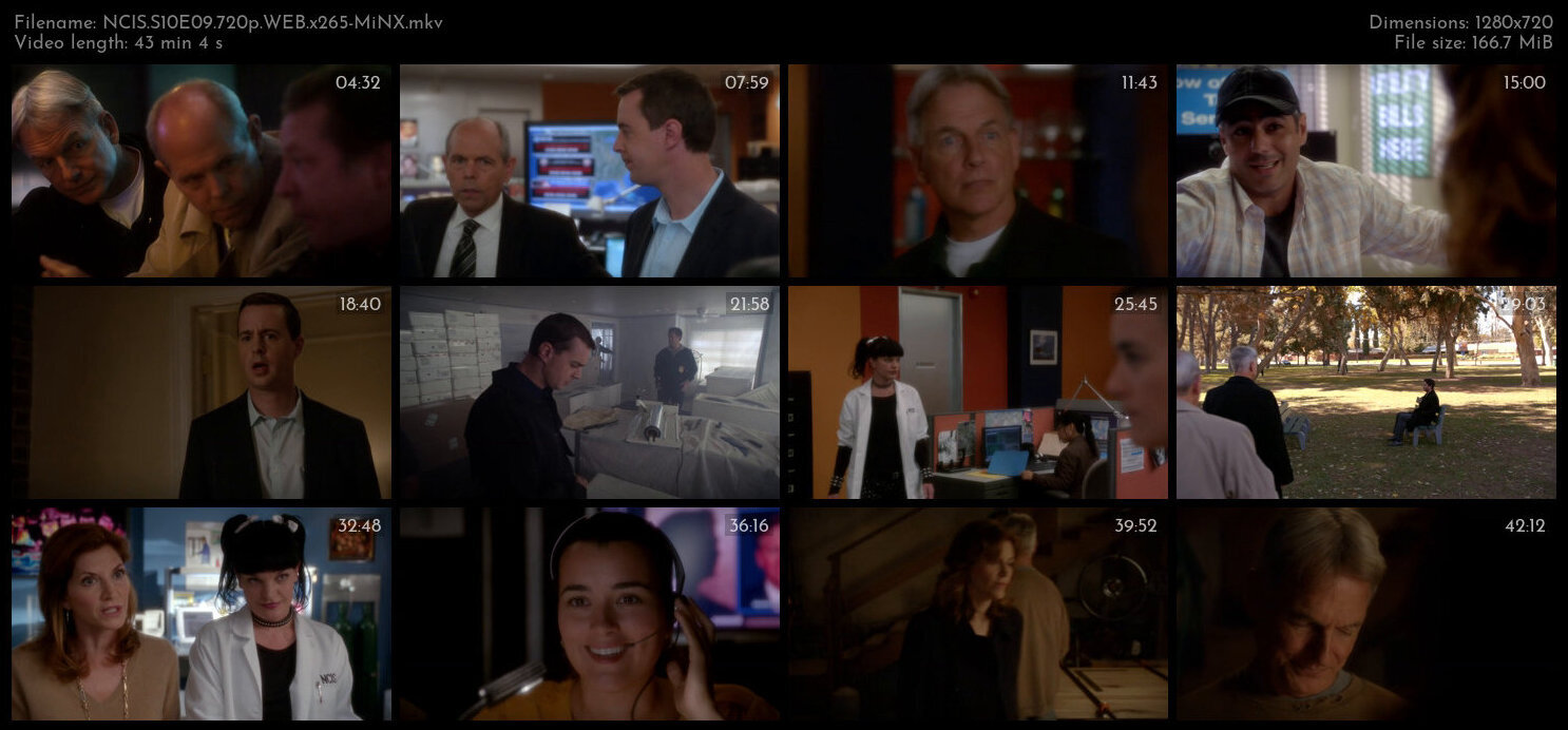 NCIS S10E09 720p WEB x265 MiNX TGx