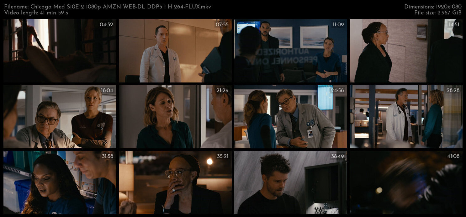 Chicago Med S10E12 1080p AMZN WEB DL DDP5 1 H 264 FLUX TGx