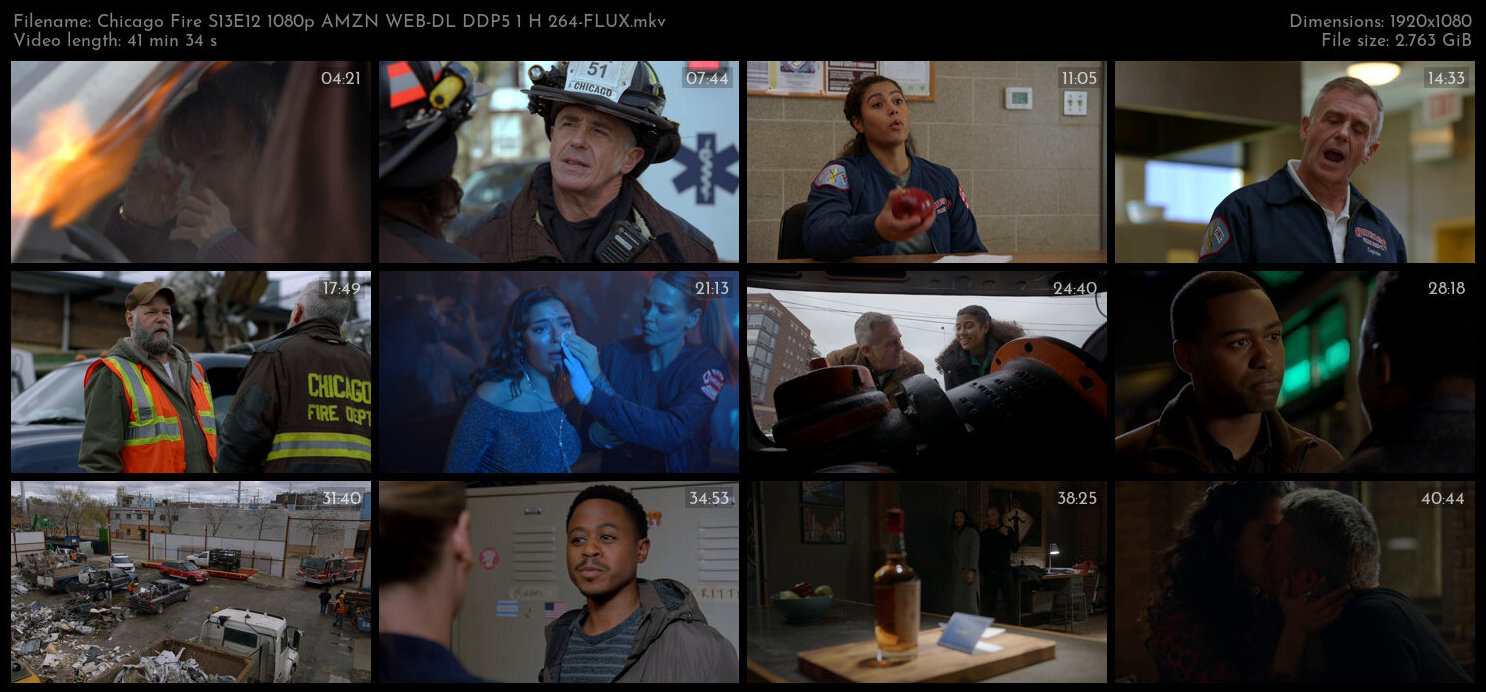 Chicago Fire S13E12 1080p AMZN WEB DL DDP5 1 H 264 FLUX TGx