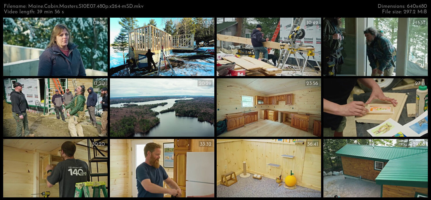 Maine Cabin Masters S10E07 480p x264 mSD TGx