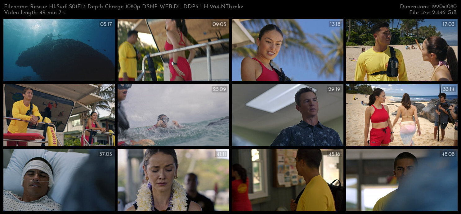 Rescue HI Surf S01E13 Depth Charge 1080p DSNP WEB DL DDP5 1 H 264 NTb TGx