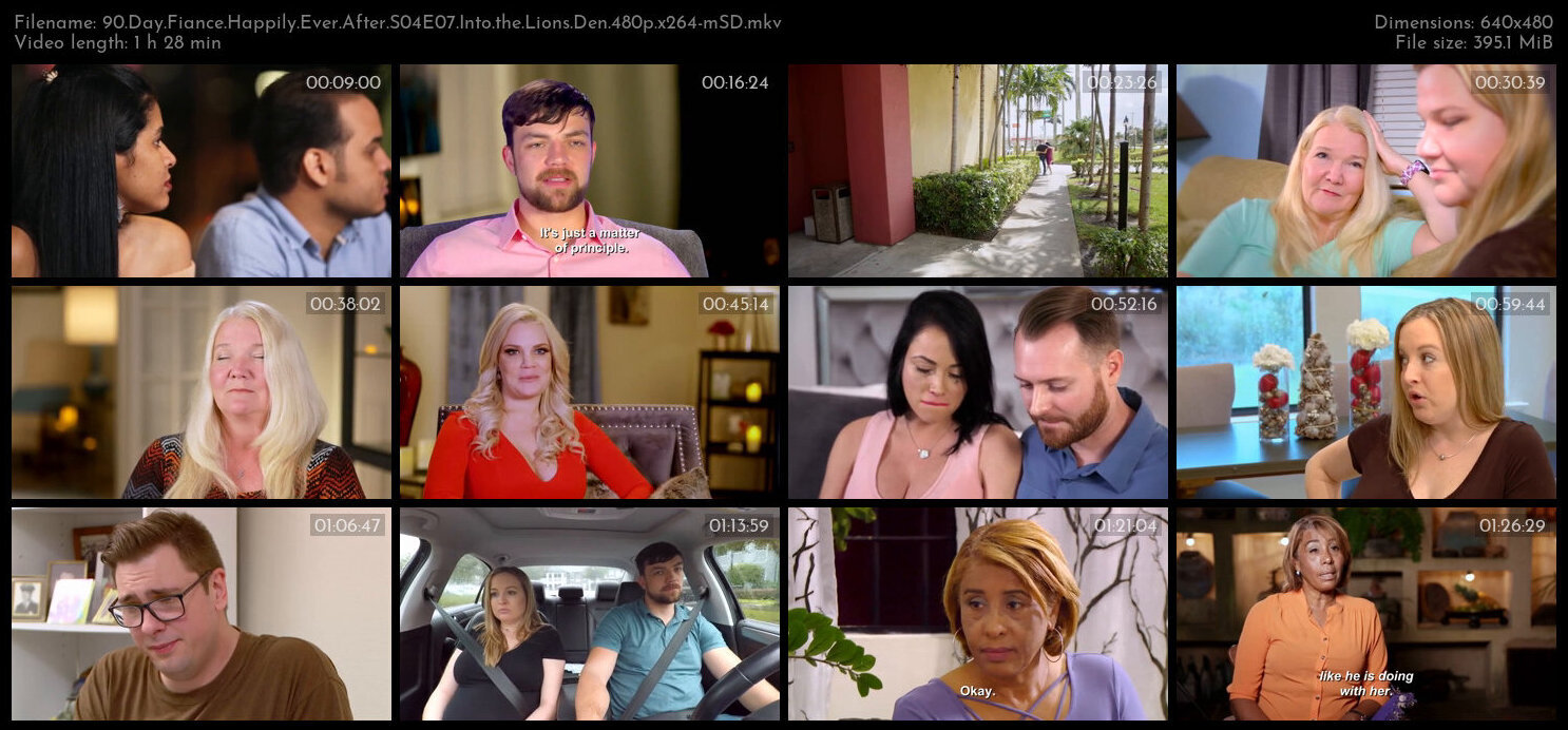 90 Day Fiance Happily Ever After S04E07 Into the Lions Den 480p x264 mSD TGx