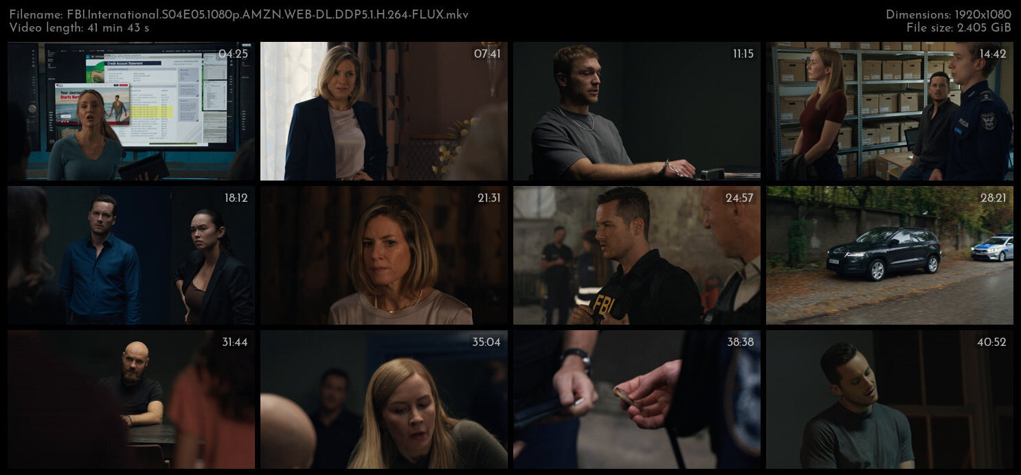 FBI International S04E07 1080p AMZN WEB DL DDP5 1 H 264 NTb TGx