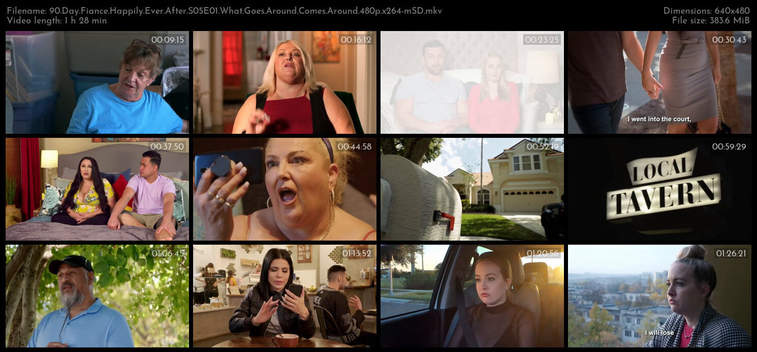 90 Day Fiance Happily Ever After S05E01 What Goes Around Comes Around 480p x264 mSD TGx