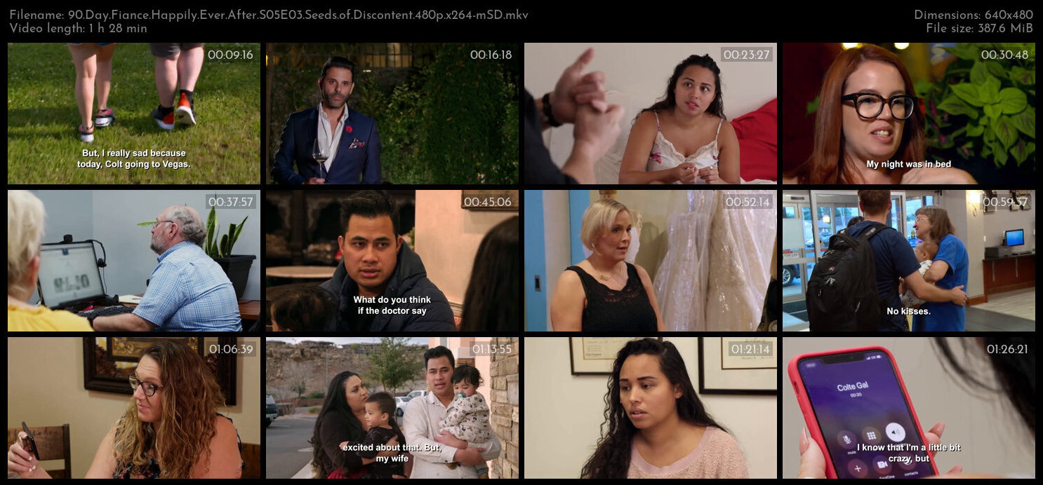 90 Day Fiance Happily Ever After S05E03 Seeds of Discontent 480p x264 mSD TGx