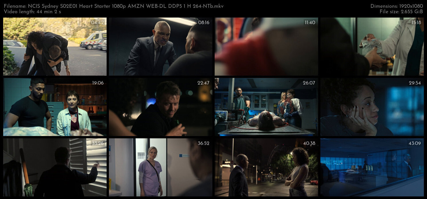 NCIS Sydney S02E01 Heart Starter 1080p AMZN WEB DL DDP5 1 H 264 NTb TGx