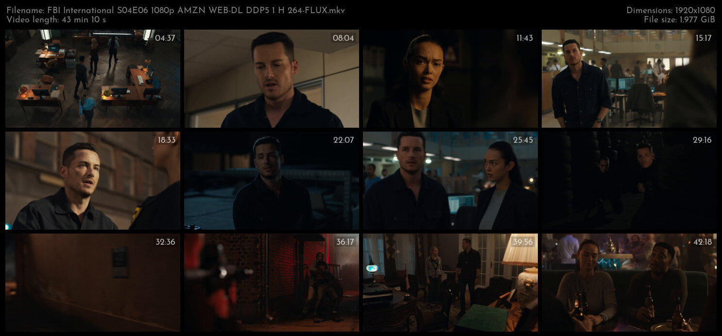 FBI International S04E06 1080p AMZN WEB DL DDP5 1 H 264 FLUX TGx